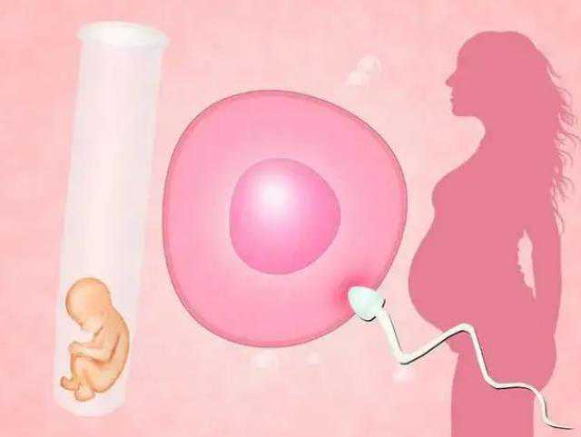 卵巢早衰能怀孕吗50岁&代孕那个较好,怀孕期间