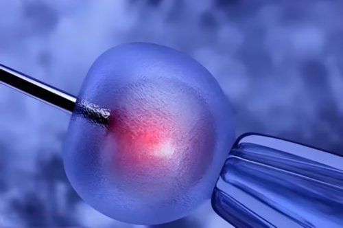 陕西做试管的费用要多少钱？陕西试管费用大公开！