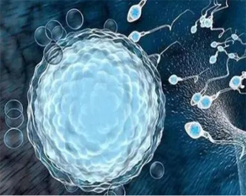 严重弱精试管能成功吗&市供卵助孕,非月经期下体出现了褐色血无腹痛是什么原