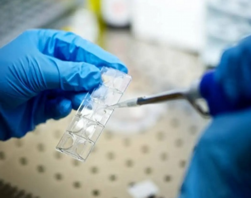 西安供卵代孕网译,2026
年海南三代试管排名哪家高？附海南医院试管婴儿详情