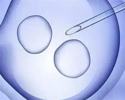 西安急招供卵女孩,烟台毓璜顶医院试管婴儿技术怎么样？需要预约吗？-上海供