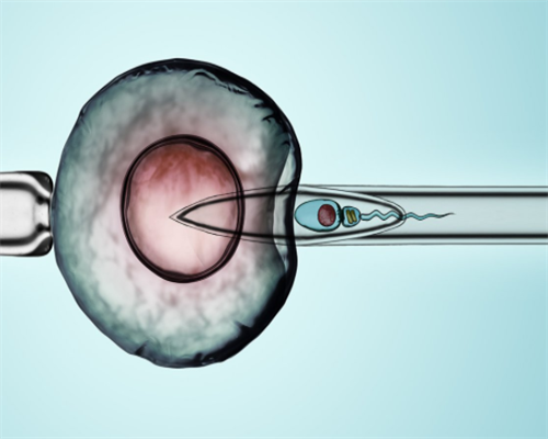 4岁到50岁试管成功率&家恩德运供卵,2026哈尔滨不孕不育医院排名，附试管费用与