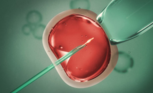 陕西生孩子医院排名,陕西冷冻卵子需要多少钱