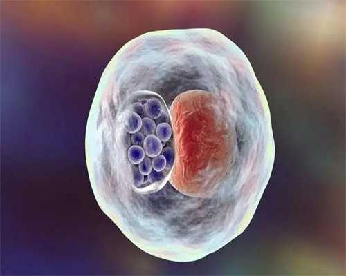 陕西可做冻卵的医院,有好多人问我，明年陕西的房价还会涨吗？我可以肯定的