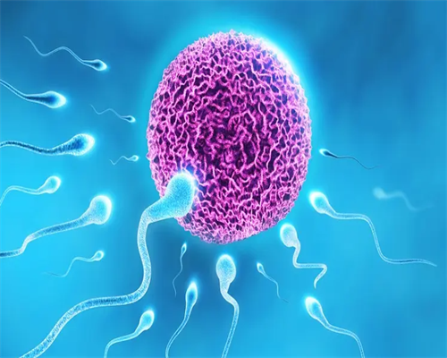 西安代孕套餐,试管过程中疑问多问医生 试管婴儿论坛不可信-西安供卵试管医院