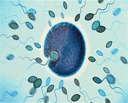 西安代孕套餐,多囊卵巢做试管成功率有多大？-上海供卵试管公司有哪些-西安专