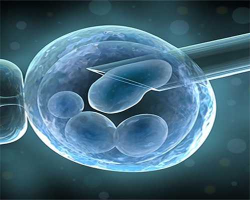卵巢早衰后怀孕能变好吗&哪里需要代孕,生儿子备孕应该采用什么方法？3个技巧