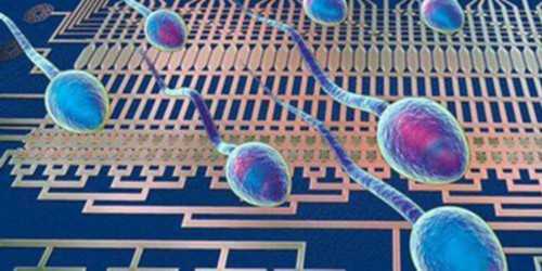 西安最好的代怀,【北京供卵中心电话】首次备孕经历分享，结果有点惊喜_西安