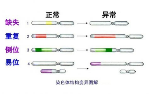 试管婴儿允许选择性别吗&卵巢早衰要怀孕吗,备孕半年多终于好孕 经验分享