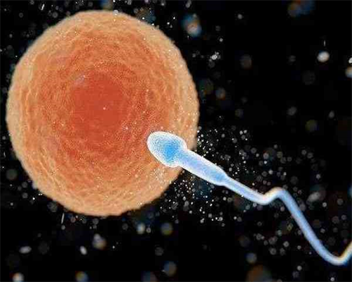 35周岁大龄试管的好处&国内允许供卵吗,备孕指南|带你了解HCG（一）