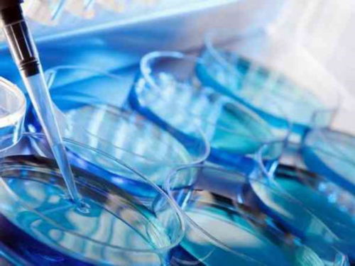 陕西试管婴儿成功率高吗,陕西大学陕西医院生殖科做三代试管可以查性别选男