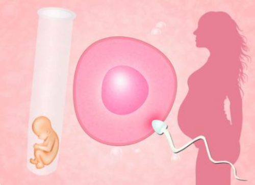 西安找代怀价格低,哪些人做试管婴儿手术更容易成功?_西安供卵试管机构排名