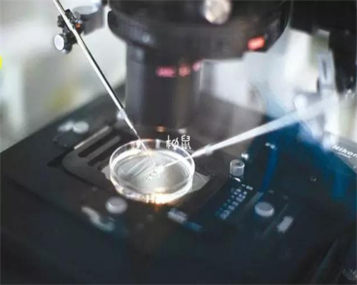 西安代怀价格,试管婴儿90%不是自己的是真的吗？到底是不是亲生的？-供卵中介