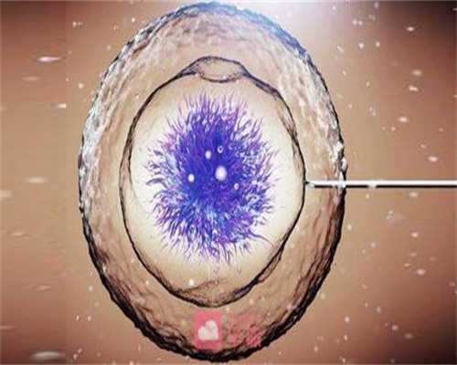 陕西冻卵的费用,陕西做输卵管疏通的平均价格