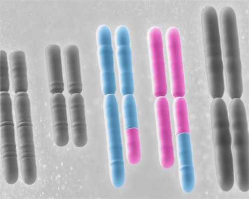 西安能做供卵医院,试管婴儿怎么做的？全过程大揭秘！_南平市市立医院黄洁怎
