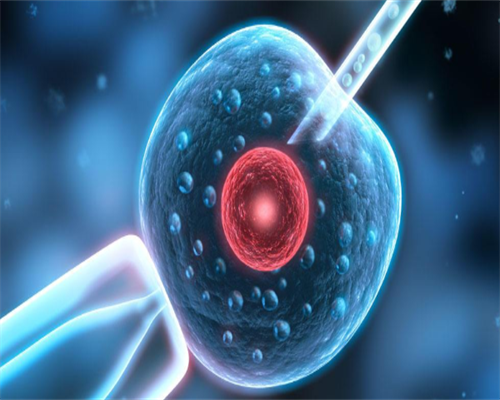 陕西哪里可以冷冻卵子,陕西冷冻卵子需要多少钱