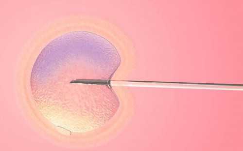 西安正规医院做代孕,江西妇保试管婴儿一般多少钱？费用价格表_西安供卵哪家