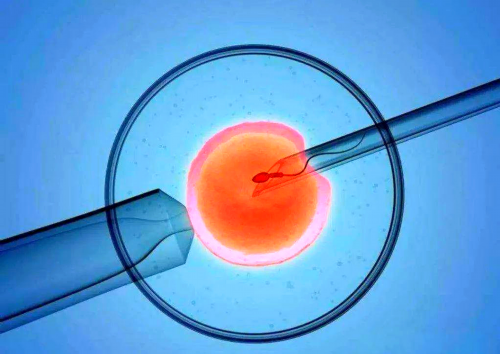 西安生殖机构代孕套餐,详解试管婴儿促排饮食禁忌和注意事项_西安供卵试管费