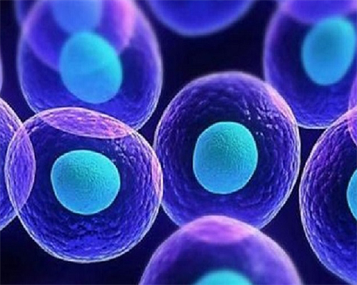 供卵孩子与母亲的感情&供精怎么做,男性备孕需要做些什么准备工作吗