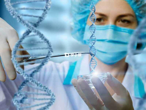 陕西试管婴儿的平均成功率,陕西做试管哪家医院成功率比较高附陕西试管医院