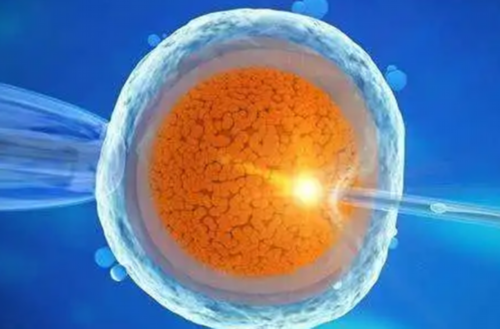 西安专业做代生,上海试管医院疑难杂症，哪个医院治疗效果好？-西安供卵机构