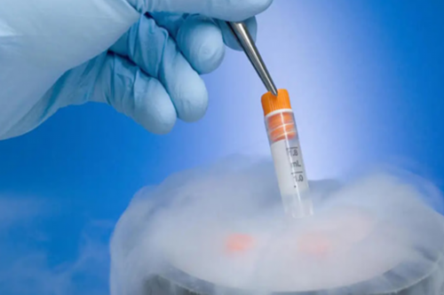 西安供卵助孕方案,西安试管婴儿多少钱明细表,西安试管婴儿做一次多少钱