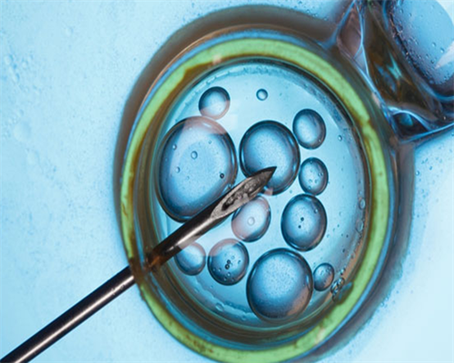 陕西试管婴儿医院排名？,陕西热门试管医院导航