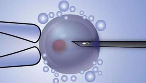 刚出生的小孩重大疾病风险是什么？了解这些对你的宝宝至关重要！