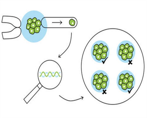 西安代孕包男孩公司,泰国做试管婴儿可选男女，我却被骗了_西安公立医院供卵