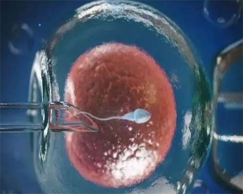 40岁以上试管成功案例&代孕工作那里找,2026湛江试管婴儿成功率一览，附试管医