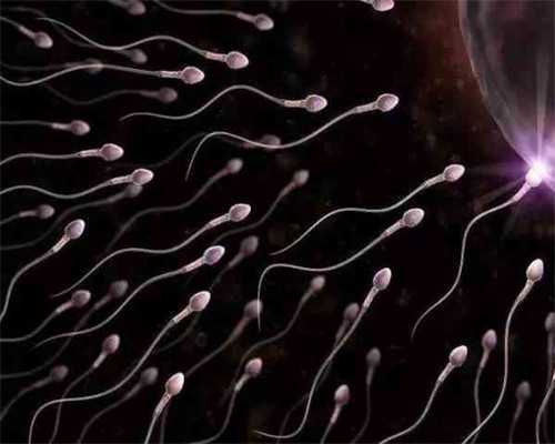 陕西做试管婴儿要花多少钱,陕西市nt检查多少钱