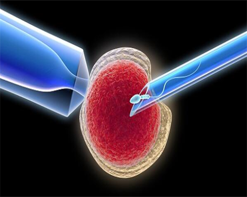 西安代孕公司有吗,什么叫做试管婴儿试管婴儿是什么意思-西安卵巢早衰供卵
