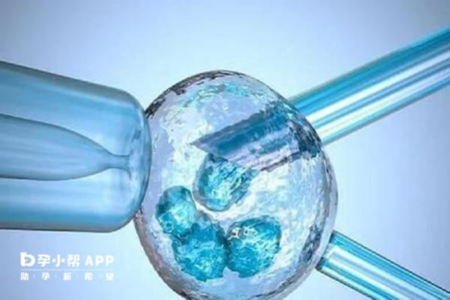 陕西试管移植成功率高吗？,陕西贝宝助孕是真的吗