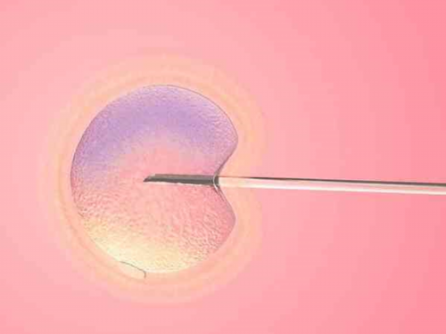 西安失独供卵助孕,试管怀孕后肚子胀便秘头晕会影响胎儿发育吗-怀孕夏天梦到