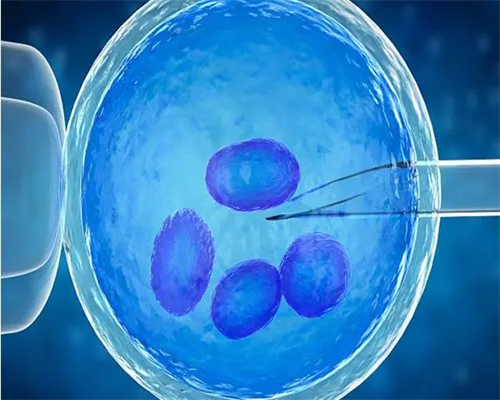 西安代生具体位置,做试管的最佳年龄是多少?我72年的女人还能生小孩吗?_西安供