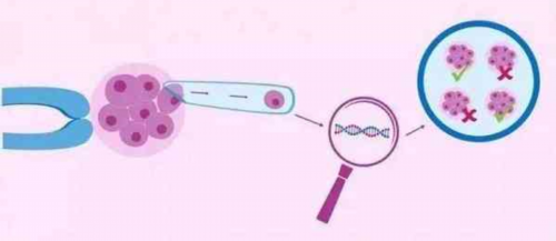 广州哪家私立医院做试管最好，成功率最高？