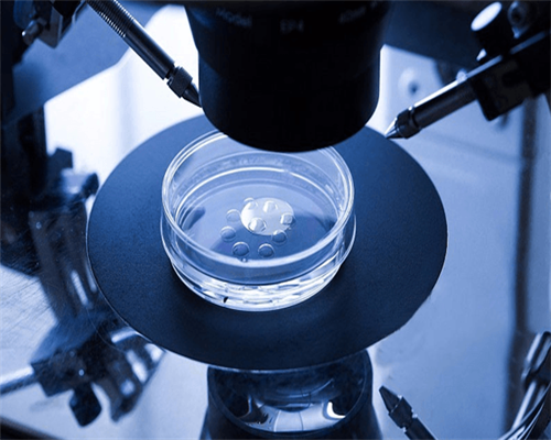 少精弱精是做试管还是人工&做供卵试管多少钱,五类子宫问题，怀孕期间应注意