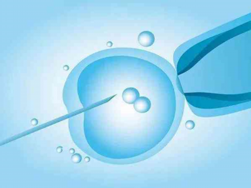 西安代生哪家靠谱,卵巢早衰做泰国试管婴儿要多少钱？-西安供卵试管费用多少
