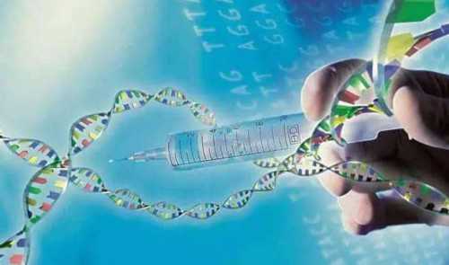 卵巢0.07早衰能怀孕吗&私人代孕联系电话,孕妇孕期怎么补dha才合适？可以通过日