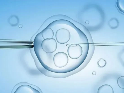 西安代孕双胞胎中心,试管婴儿移植前要查雌二醇和孕酮吗-西安供卵试管医院介