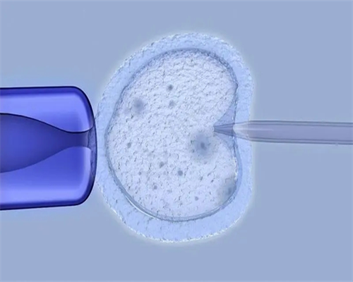 正规供卵助孕生殖中心&正规代生网,备孕要做哪些检查项目
