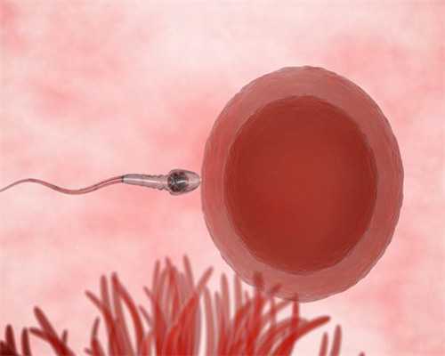 供卵女孩多少基础卵泡数较好&供卵 喜宝助孕价格,43岁高龄备孕二胎 自然受孕成