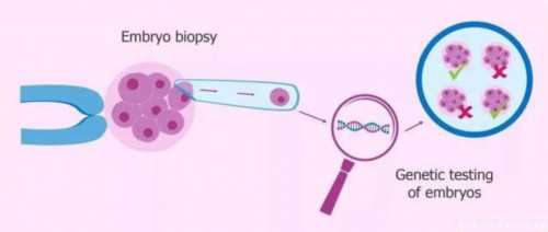 43岁两次试管没有成功&试管供卵多少钱,经期一回同房会不孕吗