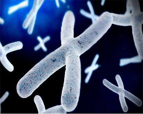 西安妇女权益供卵,做泰国试管婴儿前的体检项目有哪些?_西安供卵试管靠谱吗