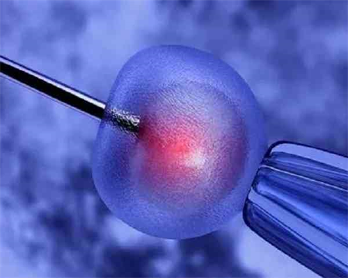 泰国供卵试管要多少钱&试管代妈,备孕服用叶酸的时候，可能会发生哪些不良反