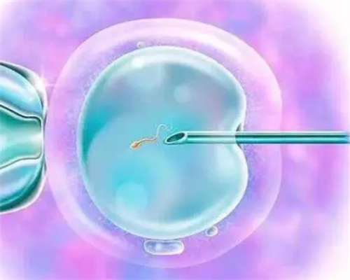 那里有女性找男士代孕的&代孕那家正规,备孕妈妈月经总是提前是怎么回事呢？