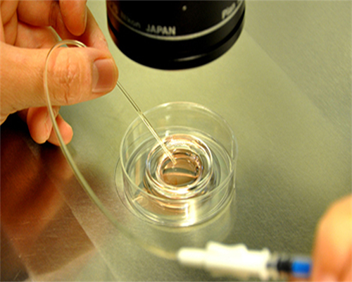 西安哪个医院供卵,深圳三代试管婴儿医院怎么做的全过程？-西安的供卵机构靠