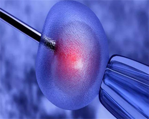 44岁卵巢早衰还要治吗&地下供卵靠谱吗,男性y精子的增加方法-7种调理方法备孕