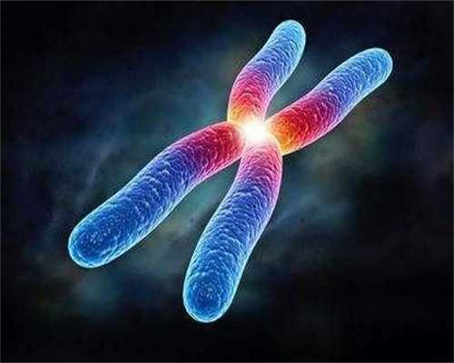 金贝供卵加试管多少钱&雨贝供卵,关于这4个备孕之前的准备工作，各位准爸妈一