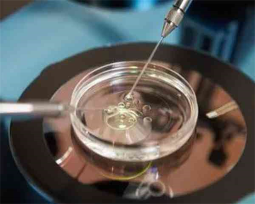 陕西试管成功率高的医院？,陕西热门试管医院导航